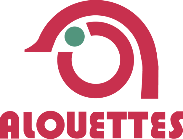 montreal alouettes 1970-1974 primary logo iron on transfers for clothing